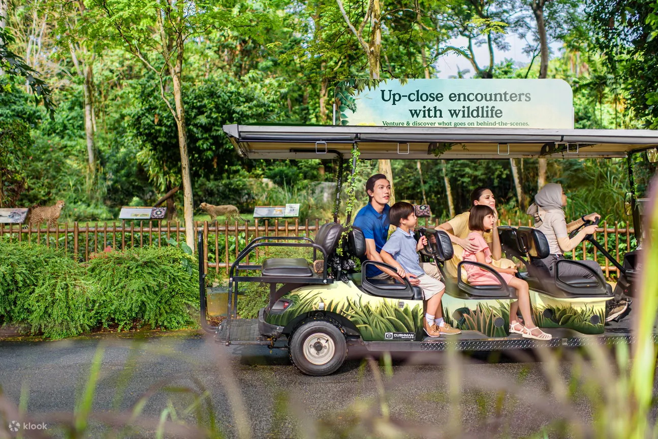 wildlife tour private buggy